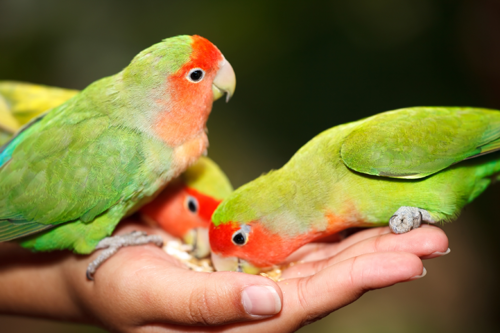 fotolia_99373537