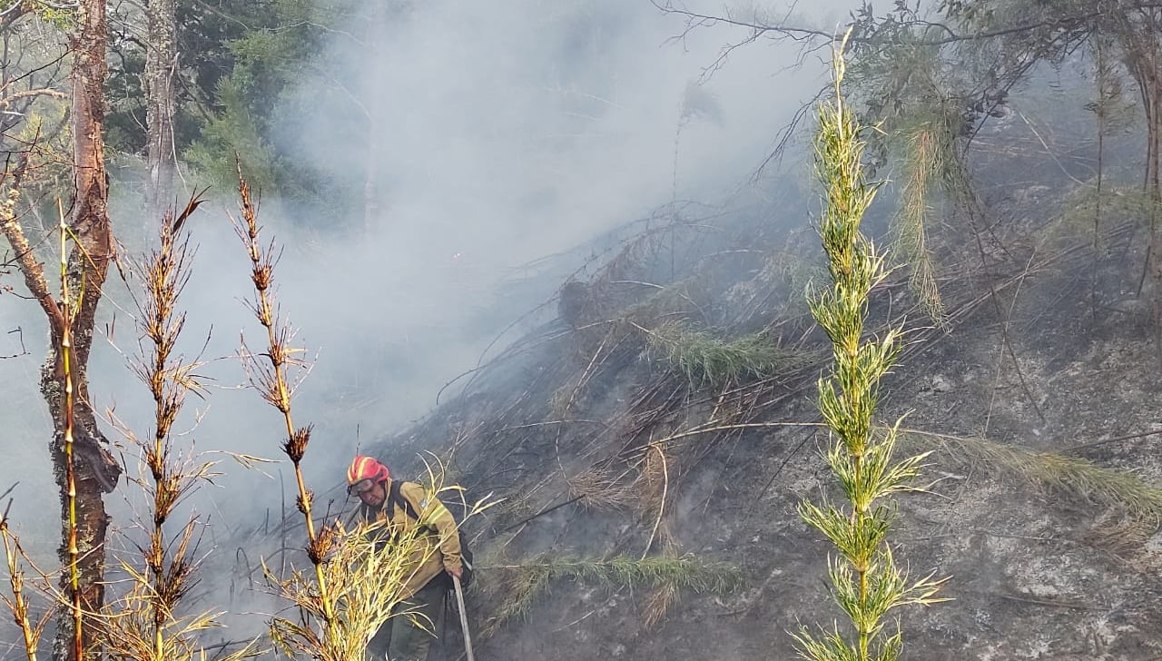 incendio valle magdalena 6