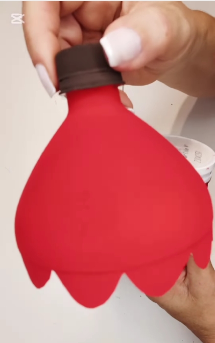 botella 4