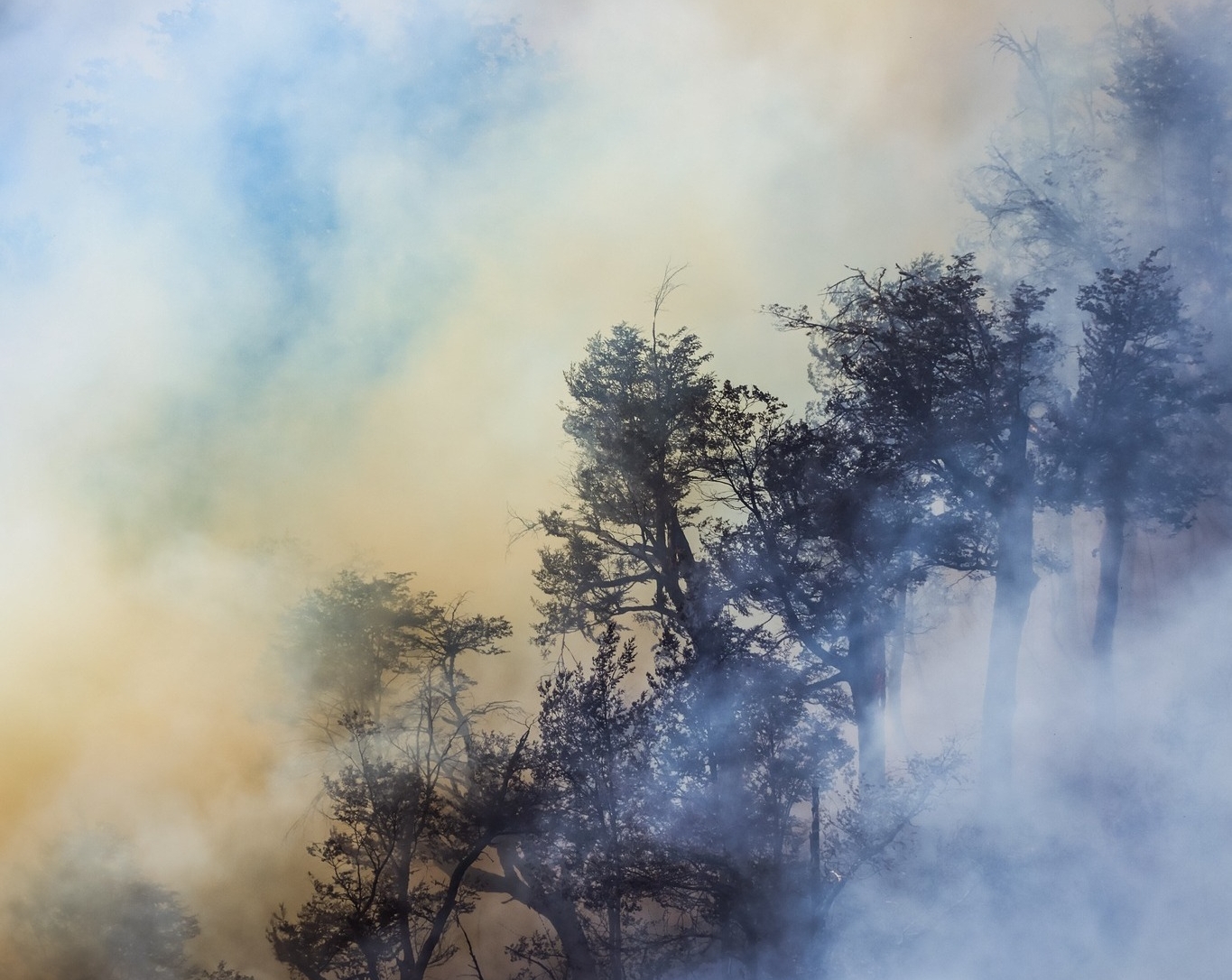 incendio en valle magdalena 5