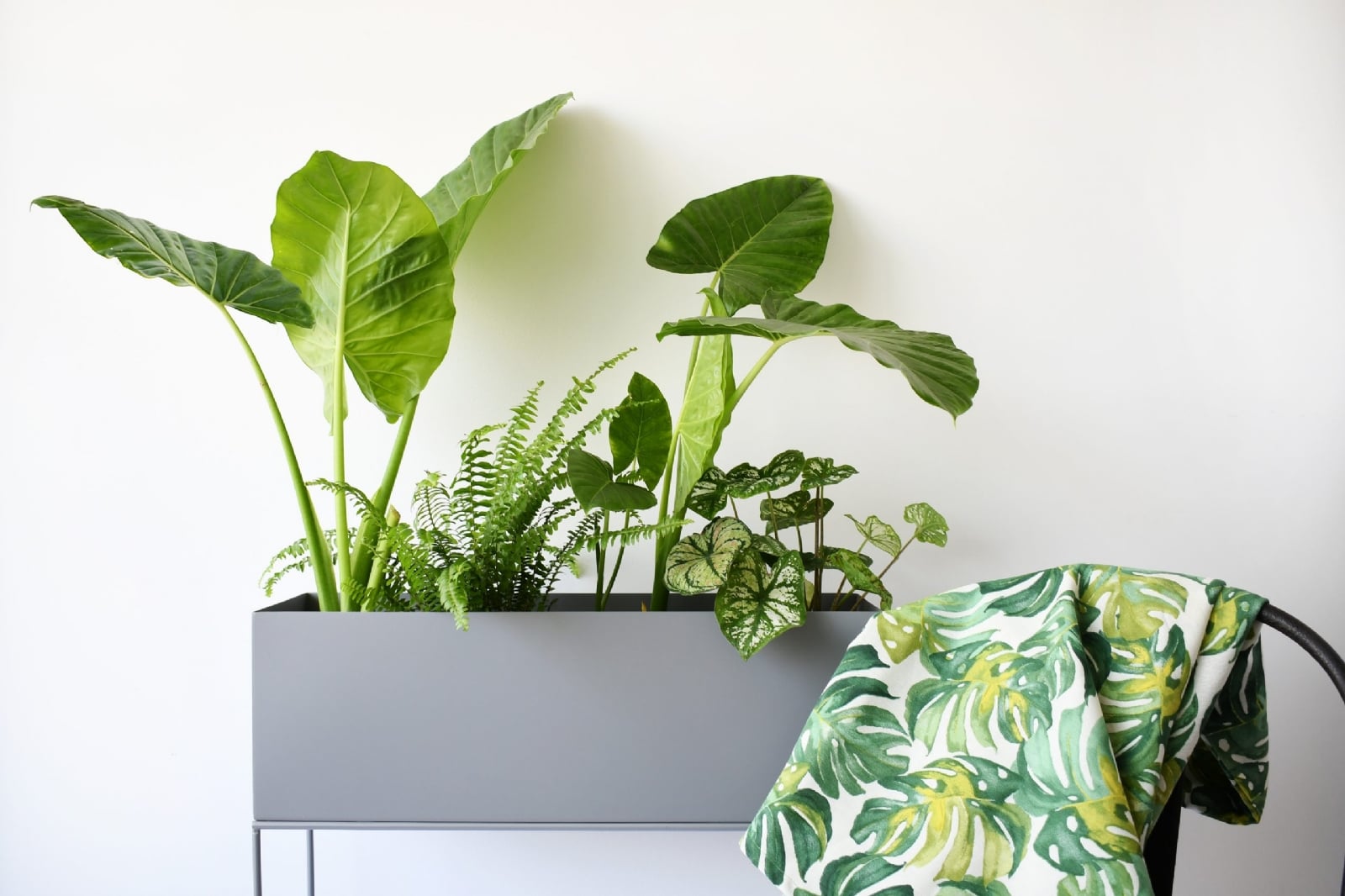 plantas departamento