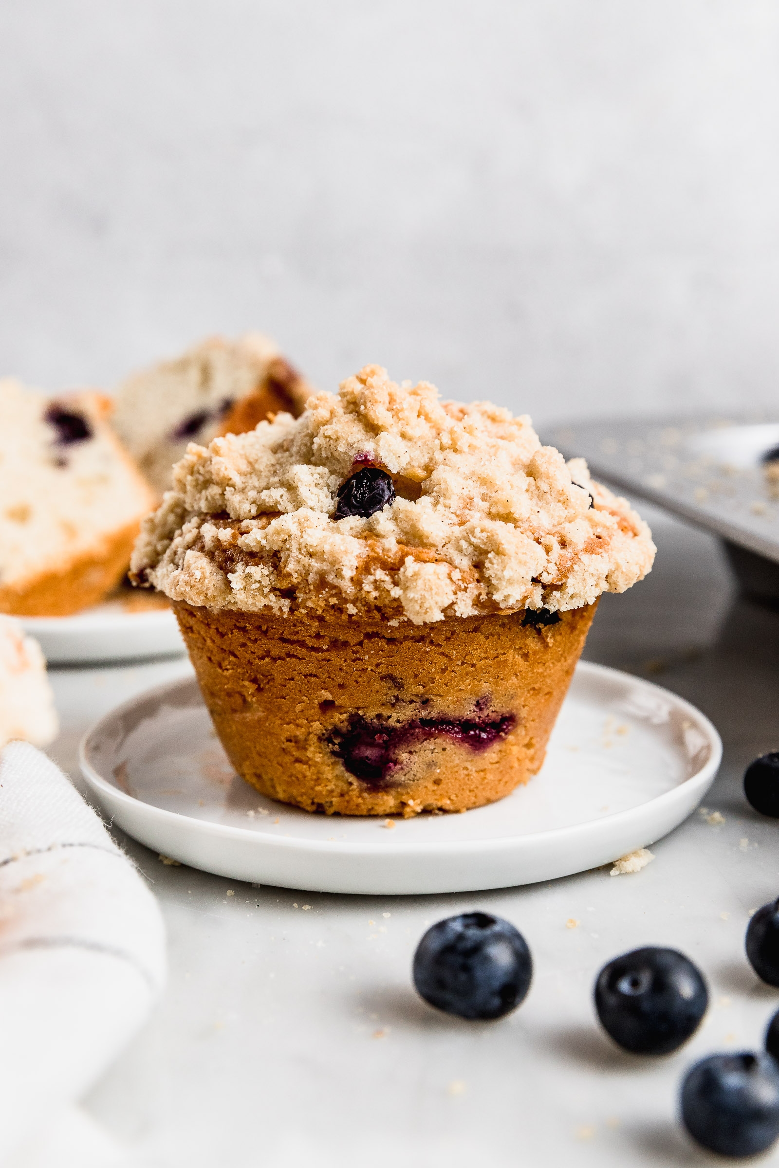 muffins-de-ara´ndanos-XL-10