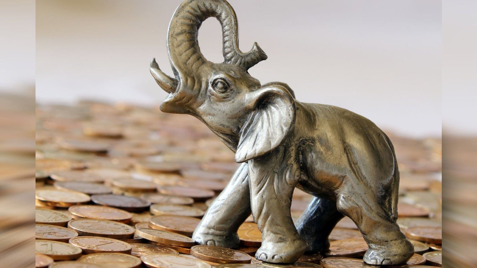 elefante ritual 1200