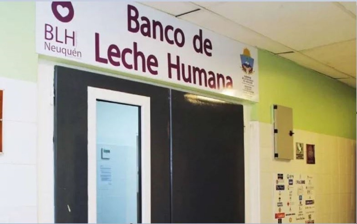 leche humana gob nqn4