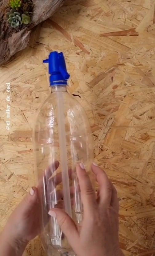 Sifón de soda 1