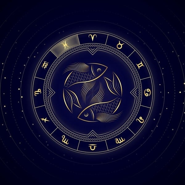 _5yAnNW8K_600x600__1