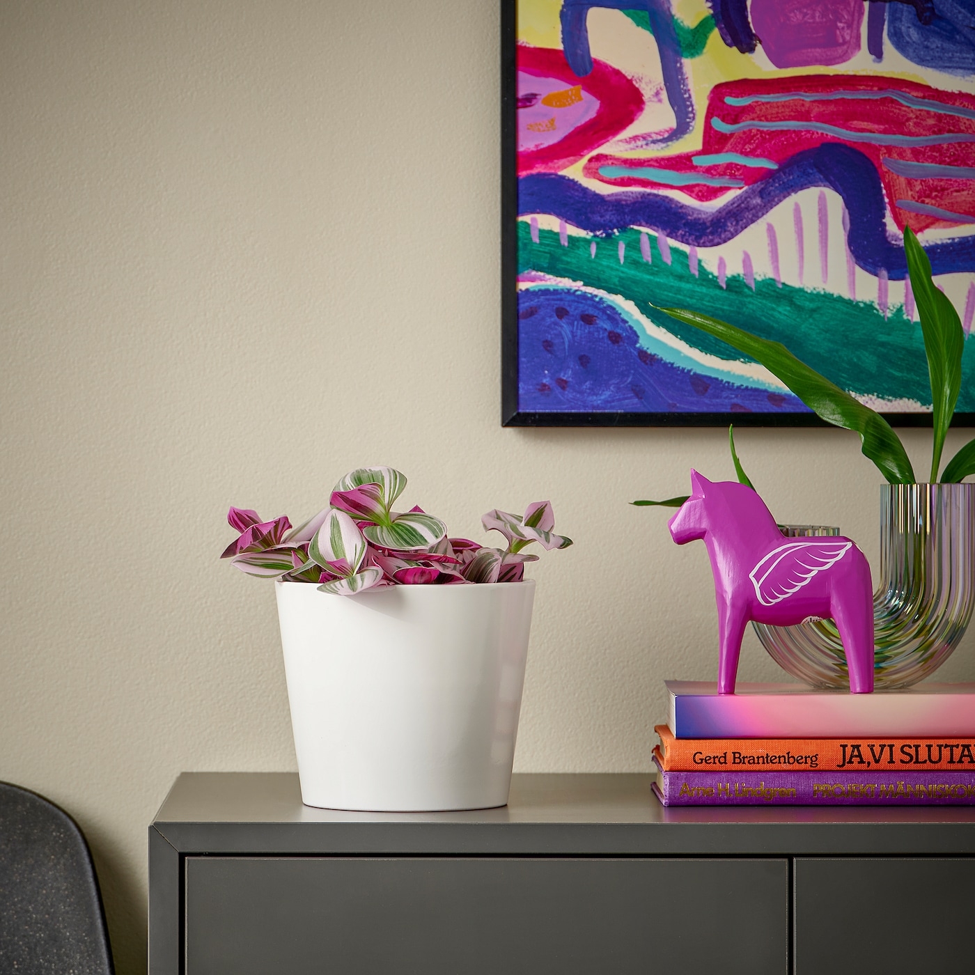 tradescantia-planta-amor-hombre-lila__1315322_pe940425_s5