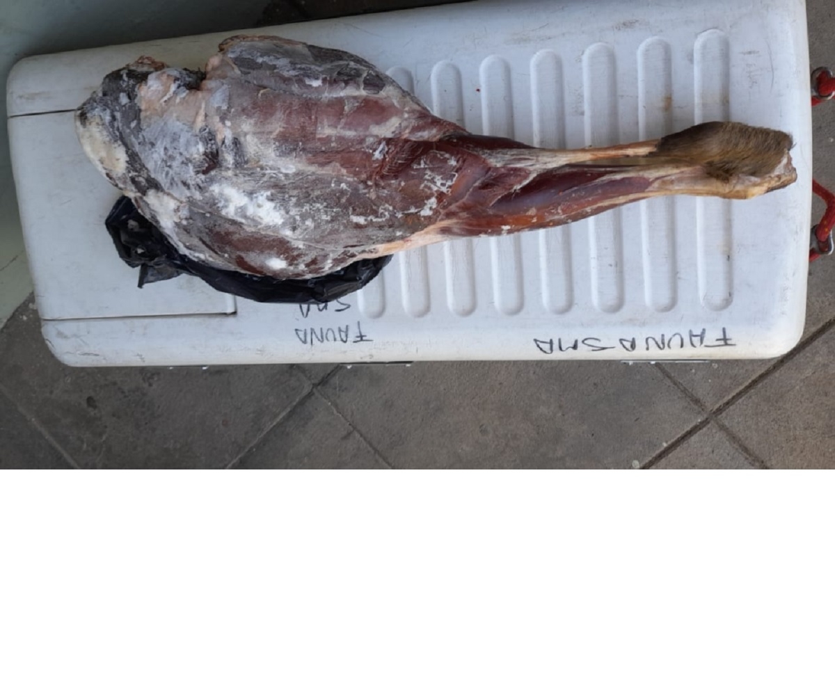 operativo meliquina 1