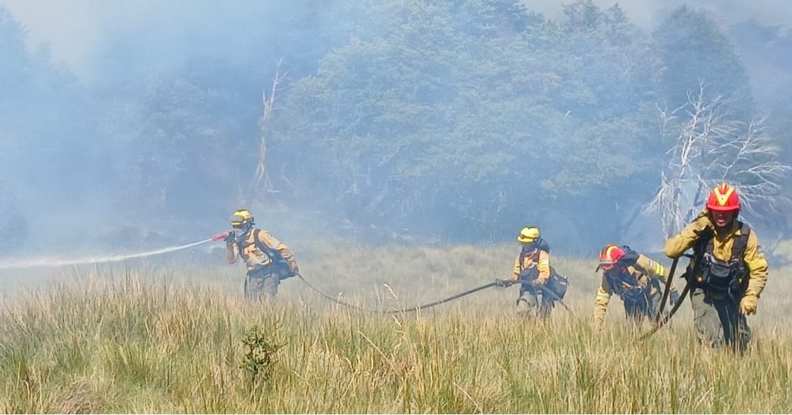 incendio valle magdalena 6
