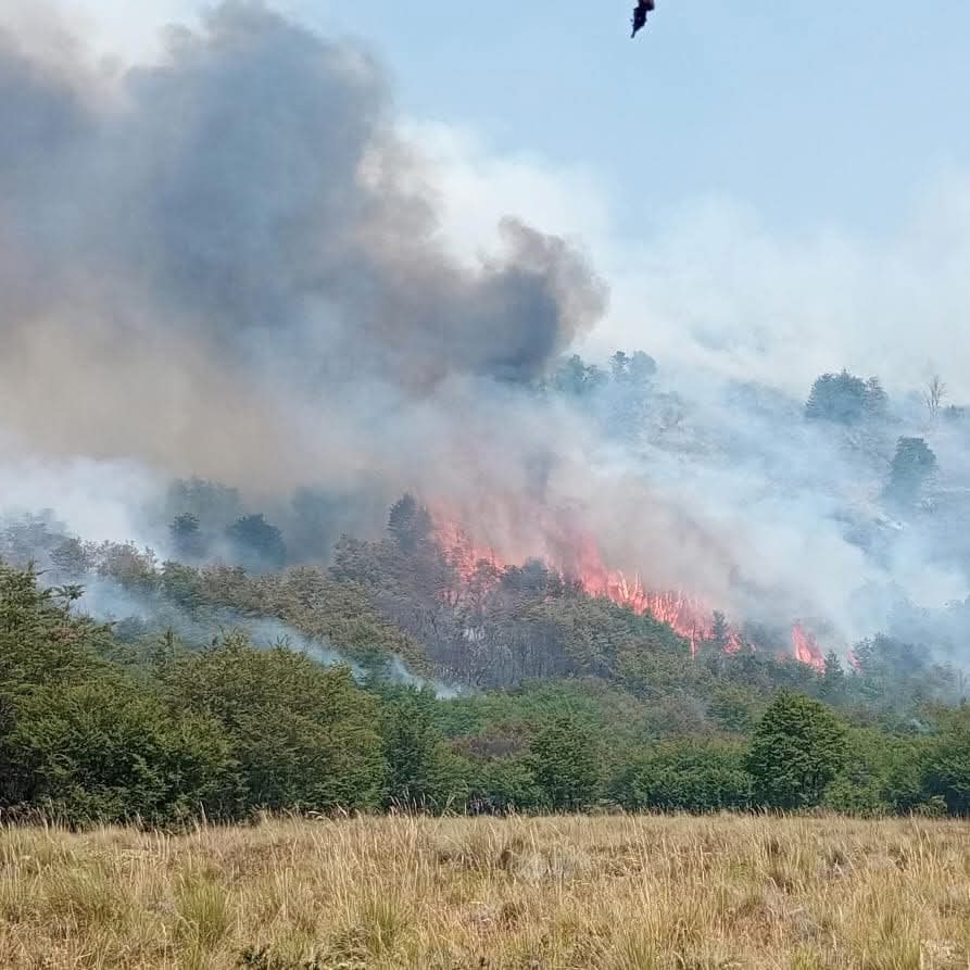 Incendio valle magdalena 4