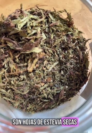 stevia533