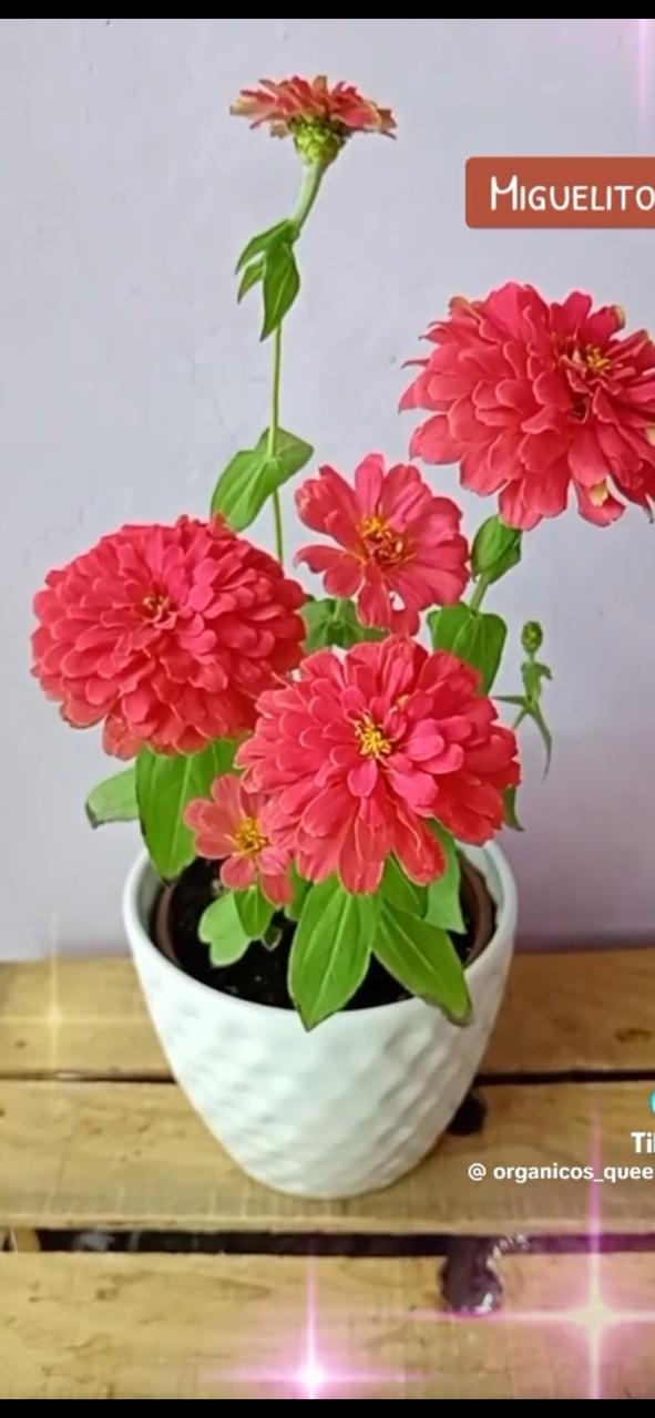 WhatsApp Image 2025-03-11 at 21.51.28 (2)
