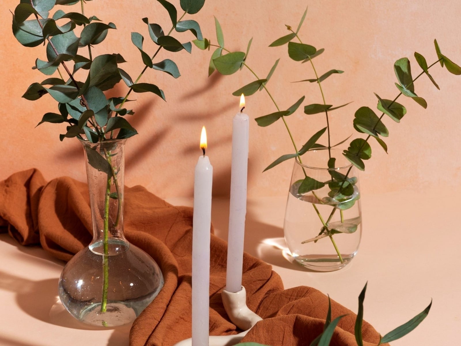plantas2