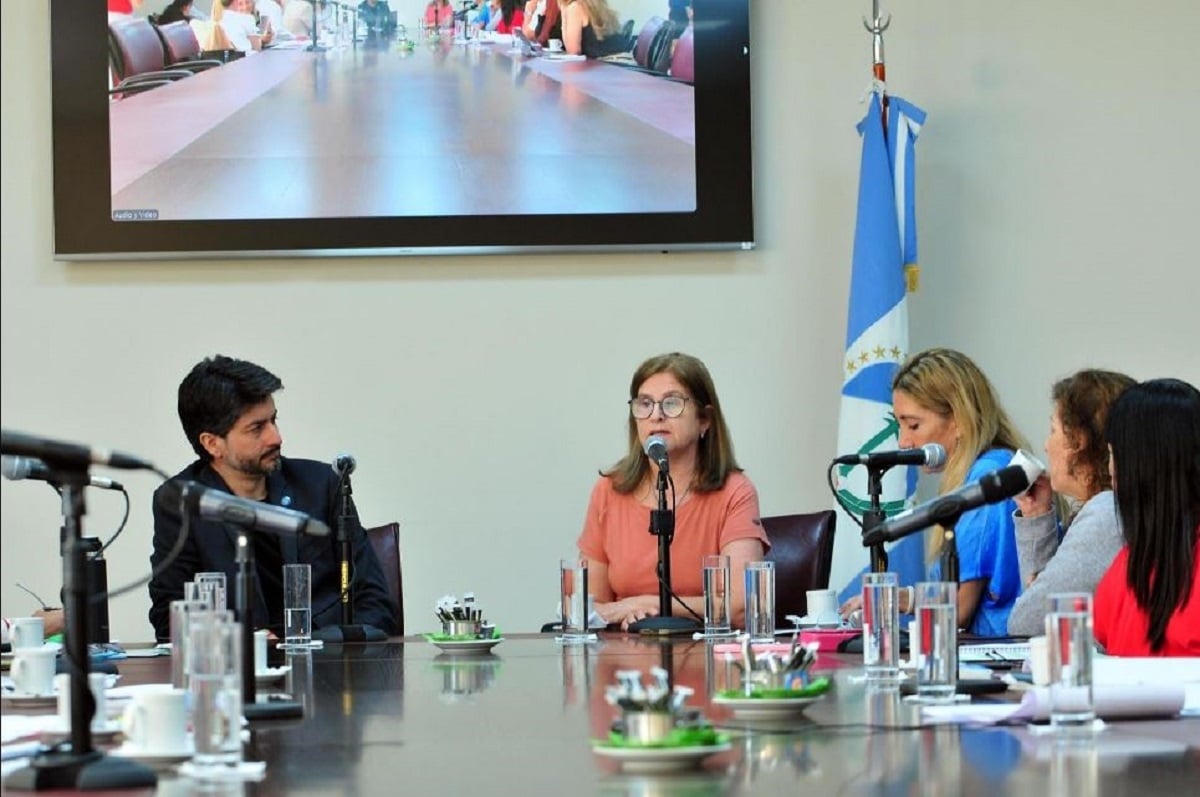 ingenieria legislatura de nqn
