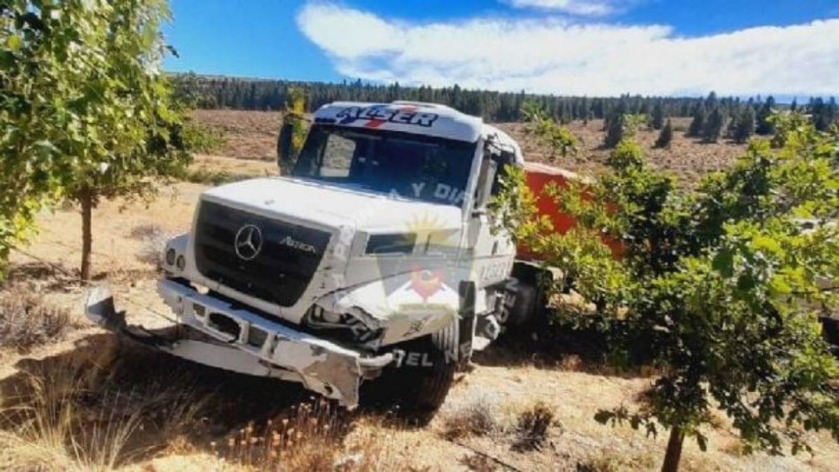 Camion accidente ruta 237 Fuente (Policía del Neuquén)