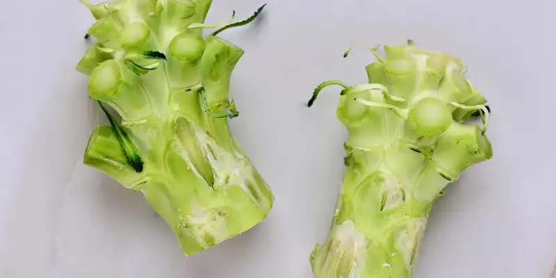 broccoli - stalks