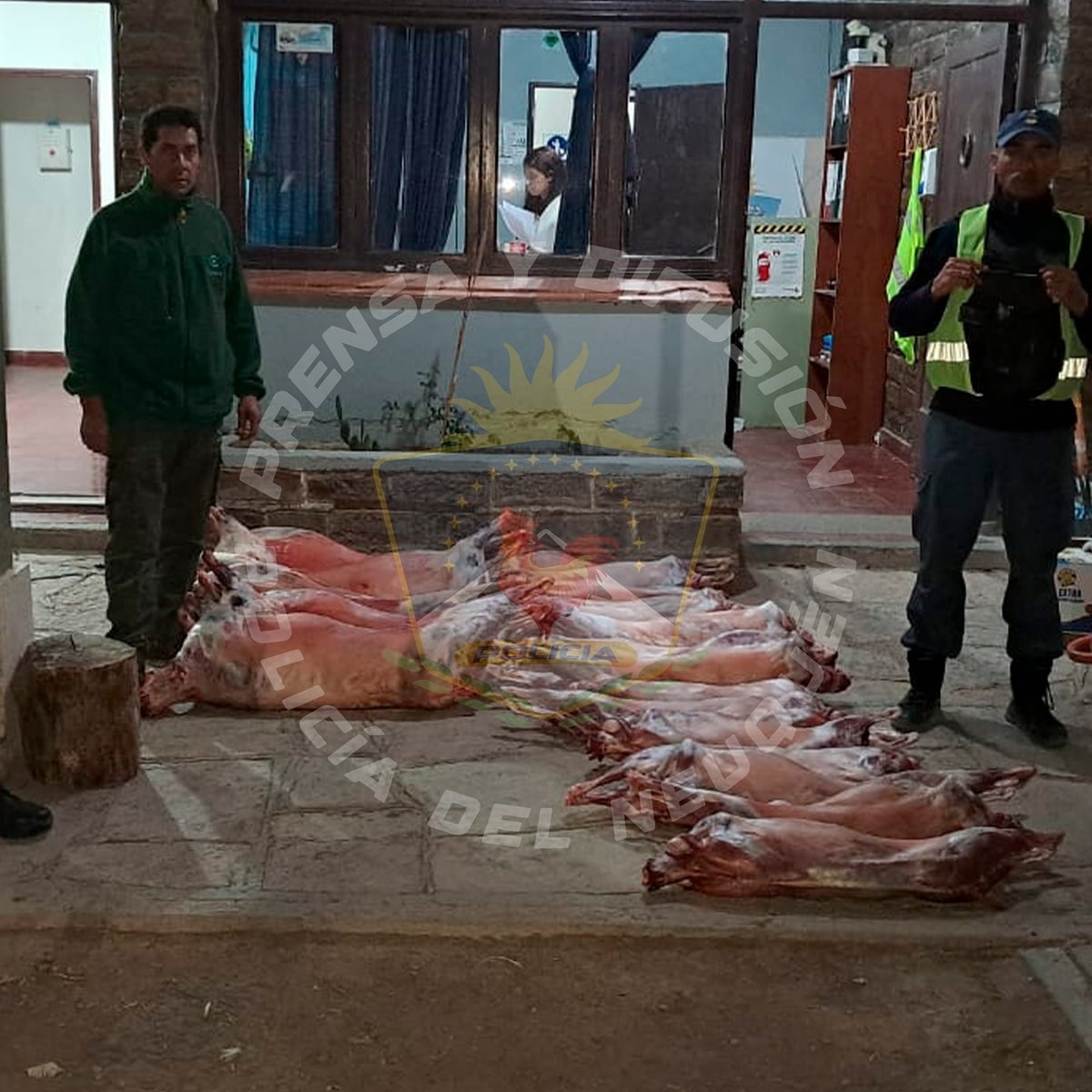 chivos y ovejas faenados 1