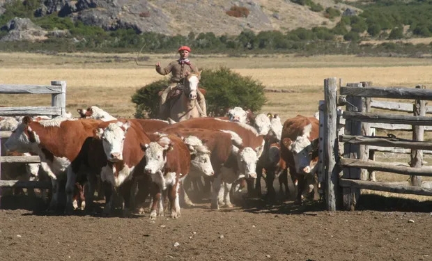 productores-ganaderos-patagónicos