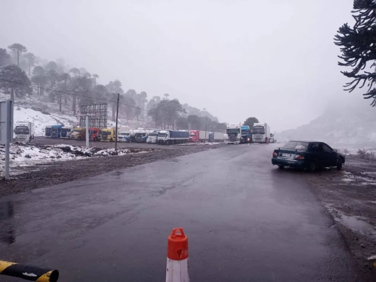 camiones varados PIno Hachado Fuente (Noticias NQN)