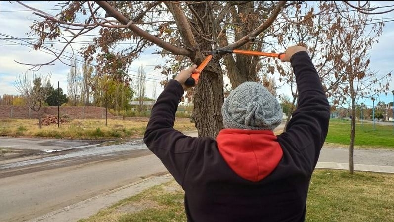 arboristas neuquen web