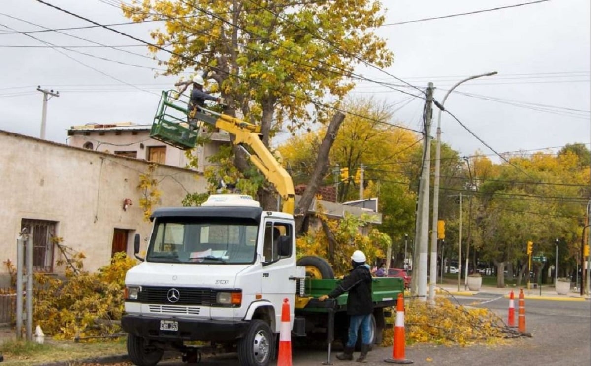 arboristas muni plottier