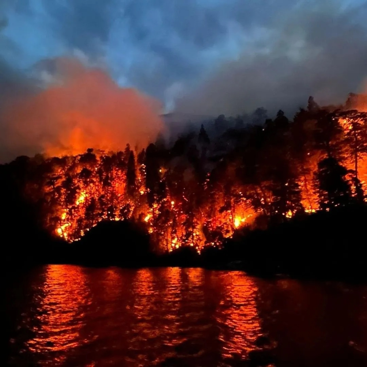 Incendio Forestal