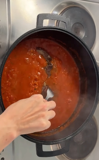 carne estofada en salsa3