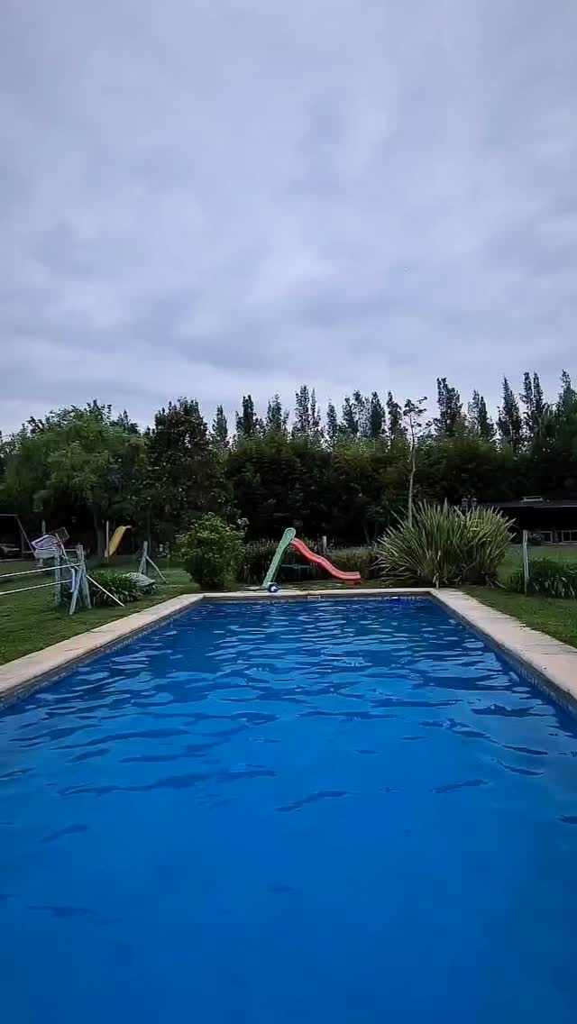 467540946_1240396070595849_6506842783119082794_n
