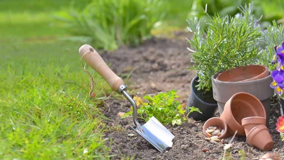 jardineria-fuera-c03d5f09-focus-0-0-966-544