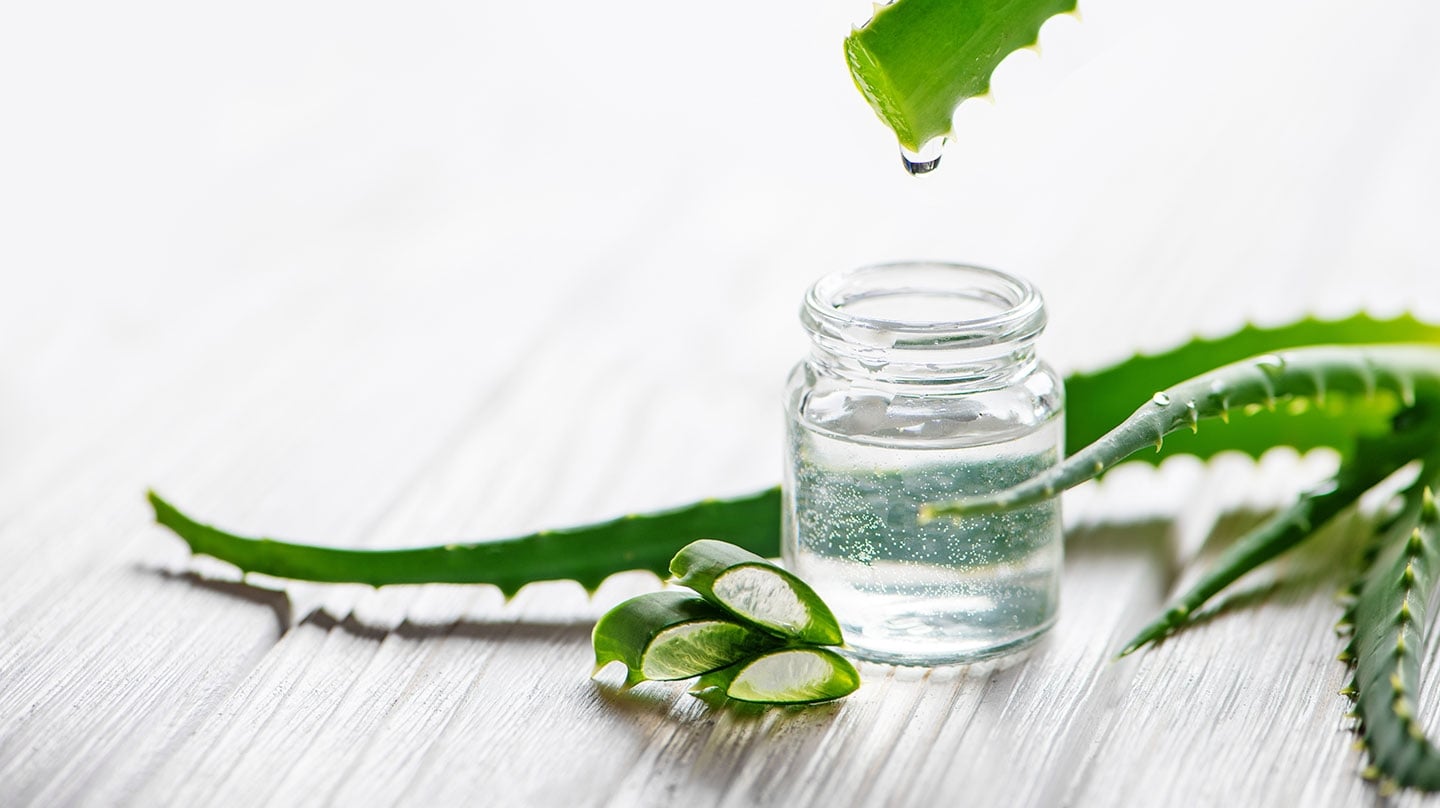 apo_Aloe_Vera_AdobeStock_298144808