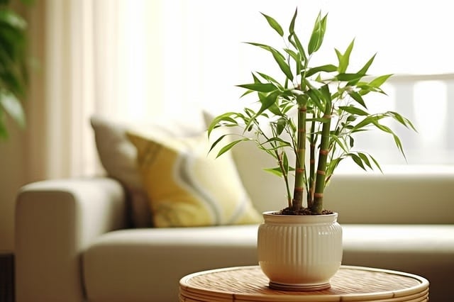 Planta 5