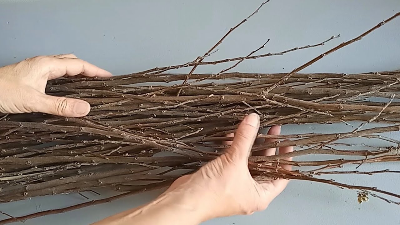 Ramitas secas