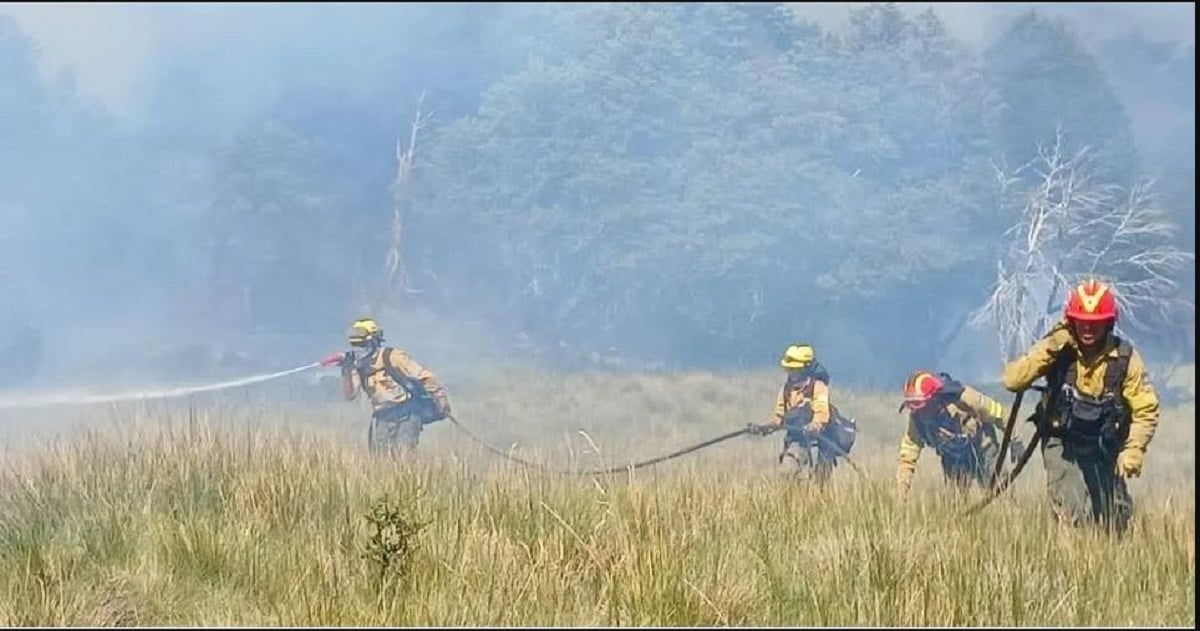 fuego infolosandes