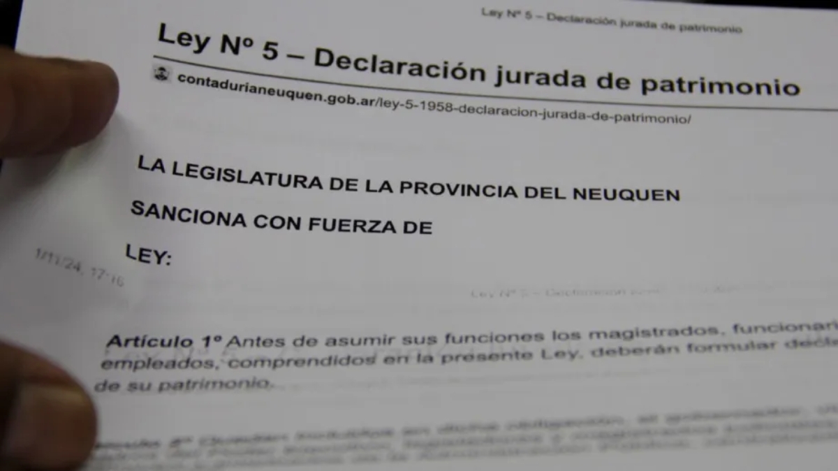 declaracion jurada Fuente (X)