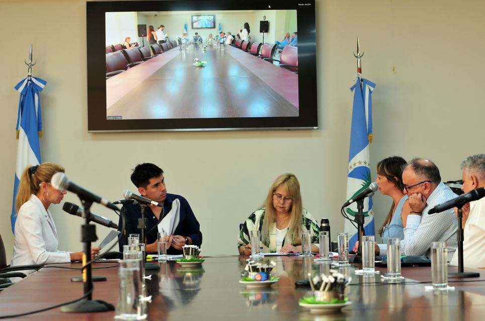 animales sueltos legislatura nqn