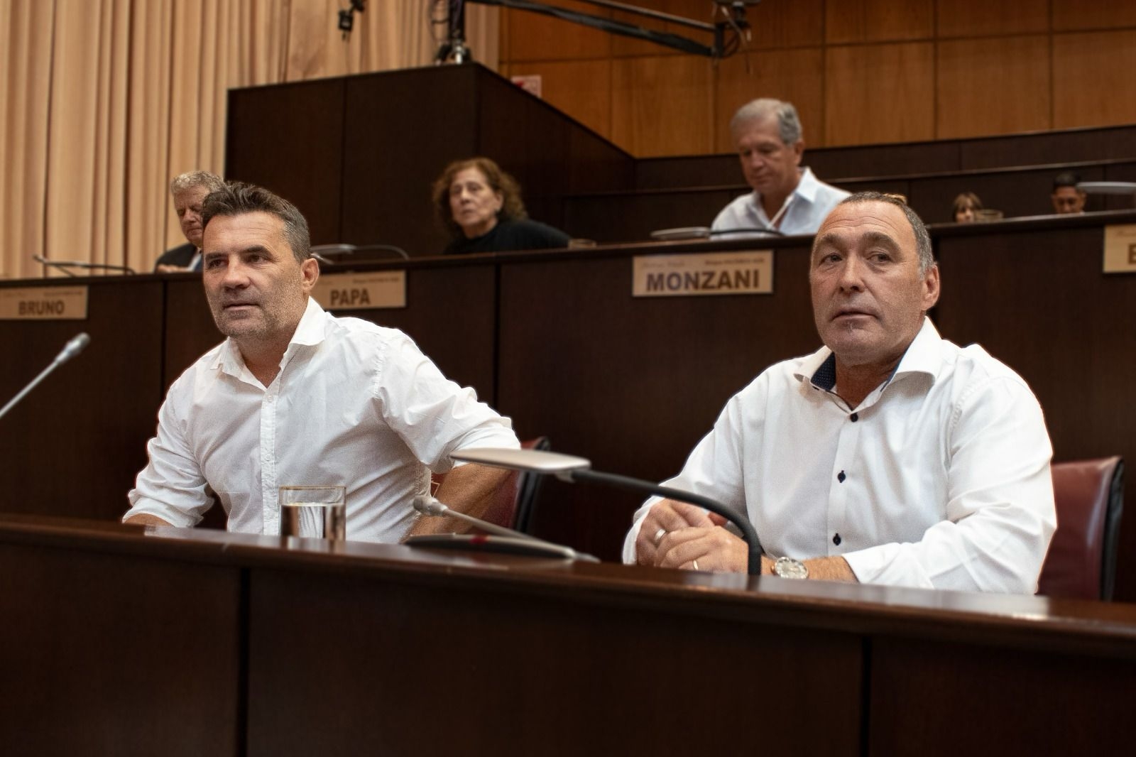Darío Martinez y Darío Peralta Fuente (Legislatura)