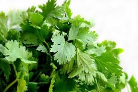 images (6)
