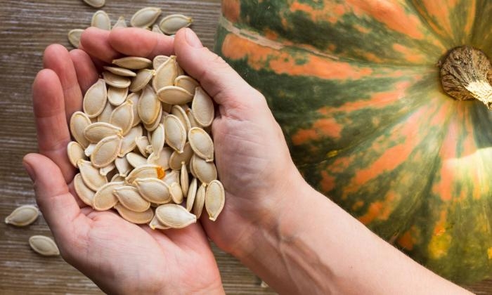 kuerbiskerne-weiss-pumpkin-seeds-by-tatiana-gorbunova-adobe-313425588