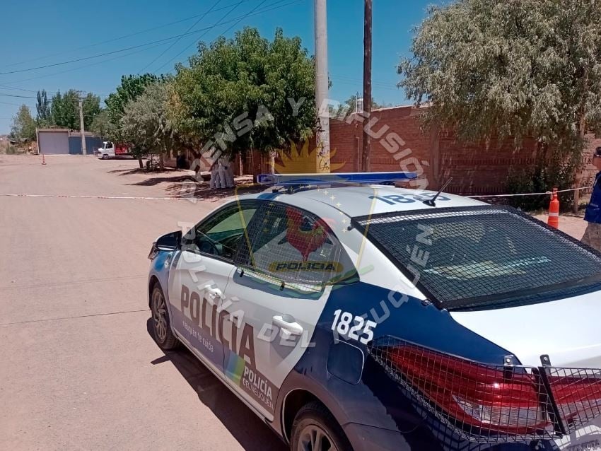 isla 132 pol nqn