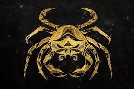images (11)