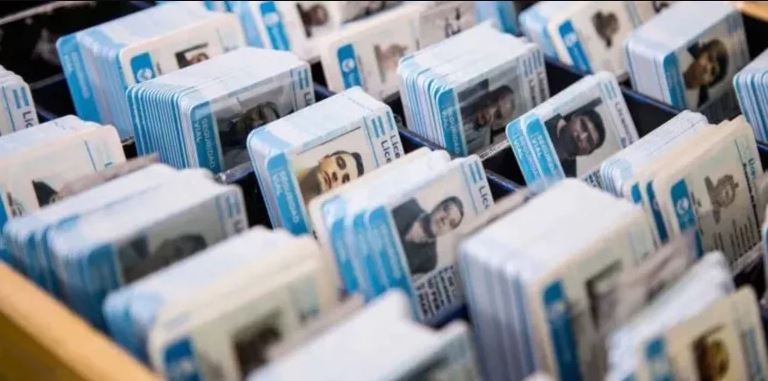 licencias de conducir face
