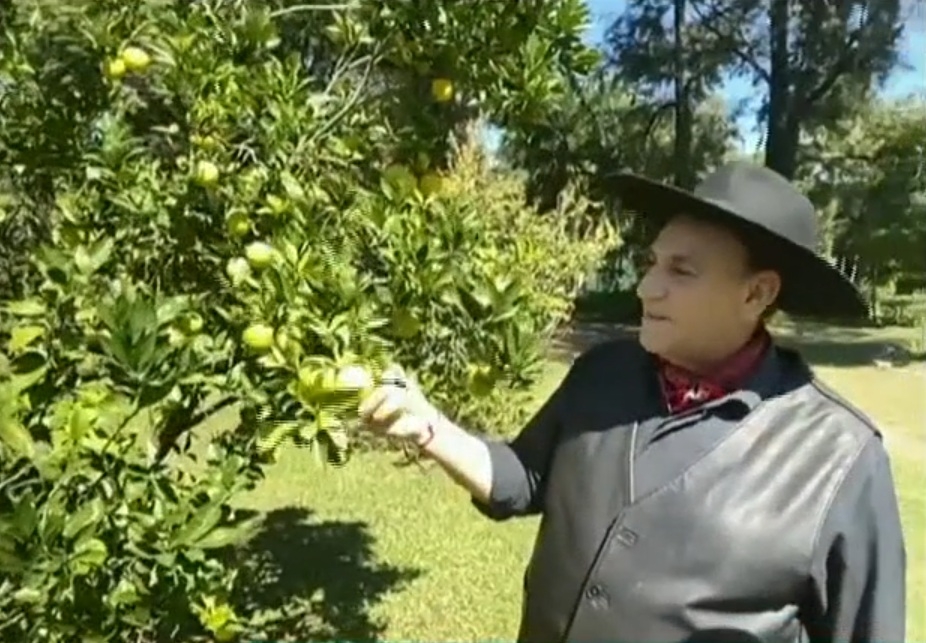 Chaqueño Palavecino 5