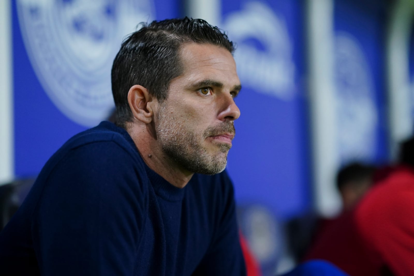 Imago-1473450