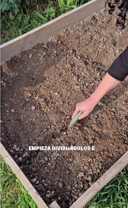 huerta 1