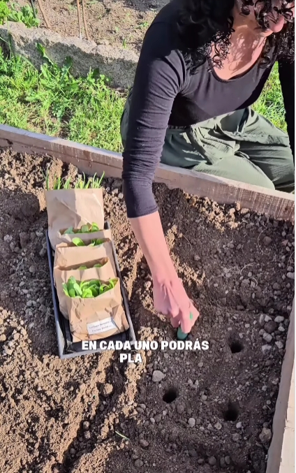 huerta 2
