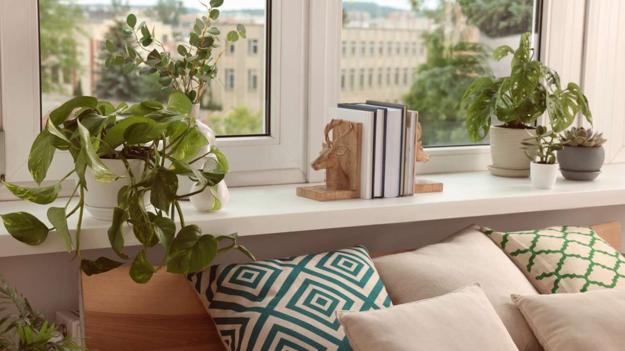 mejores-plantas-para-el-dormitorio-1280x720x80xX