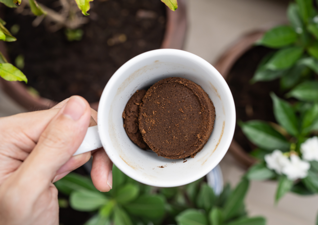 Borra del café