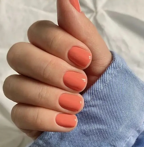 2 3