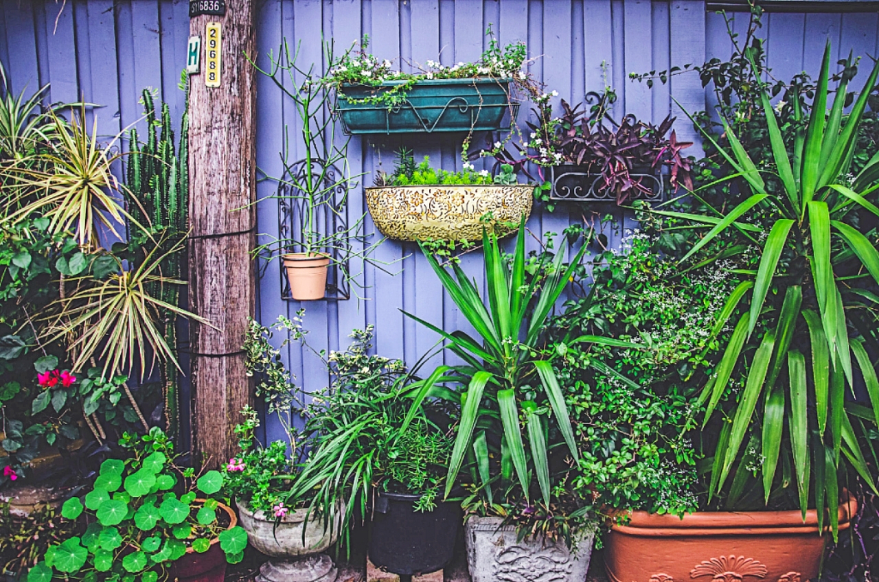 Decoracion-de-jardines-plantas-macetas-maceteros-1024x678(1)