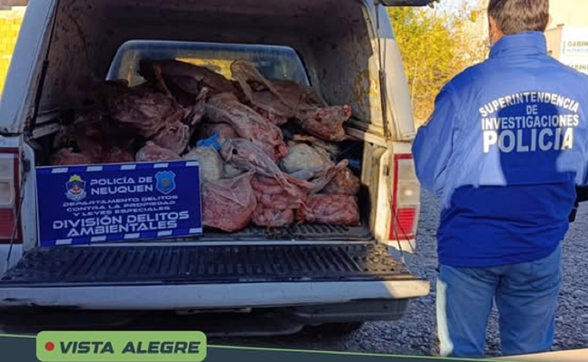 carne podrida en vista alegre